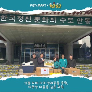 [펫마트 X 안동시청] 영남 산불 피해 복구를 위해 안동시청과 함께한 따듯한 동행