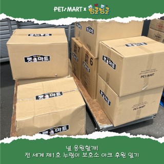 [펫마트 X 아크보호소] 플리마켓으로 모두 함께 만들어간 따듯한 동행