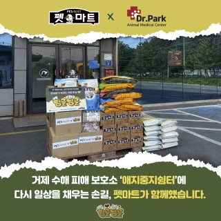 [펫마트 X 애지중지쉼터] 거제 수해 피해 '애지중지쉼터'의 회복을 위해 함께한 따뜻한 동행
