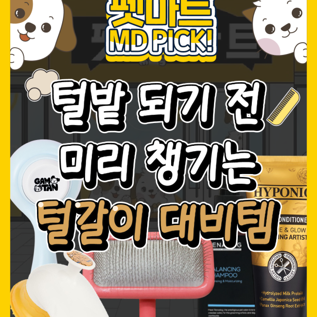 털과의 전쟁에서 살아남는법! 털갈이 대비템!