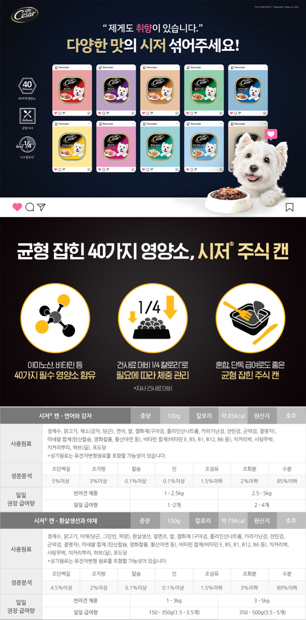 상세 이미지 2
